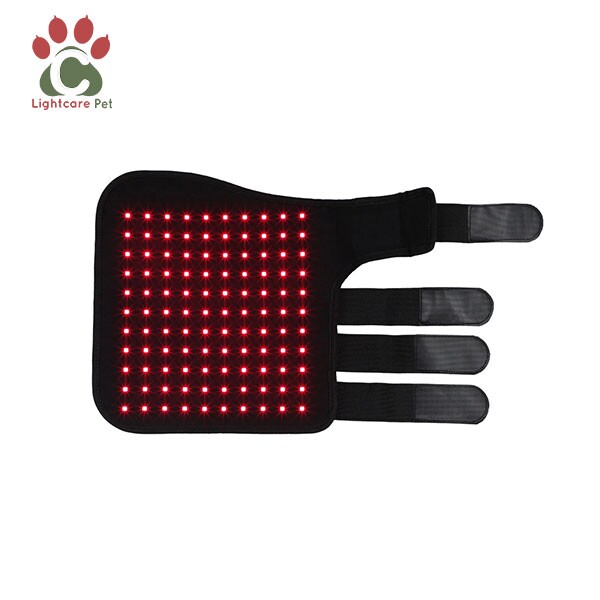 Red Light Therapy pads for Horse Legs Red Light Therapy pads for Horse Legs