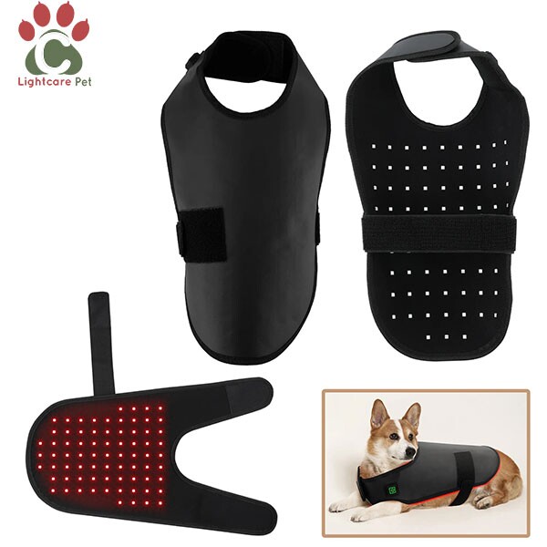 Dogs Red Light Laser Therapy Products Supplier Dogs Red Light Laser Therapy Products Supplier
