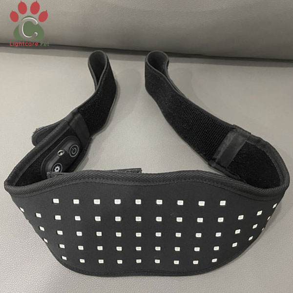 Fototerapia con luz roja para perros Productos China Proveedor Fototerapia con luz roja para perros Productos China Proveedor