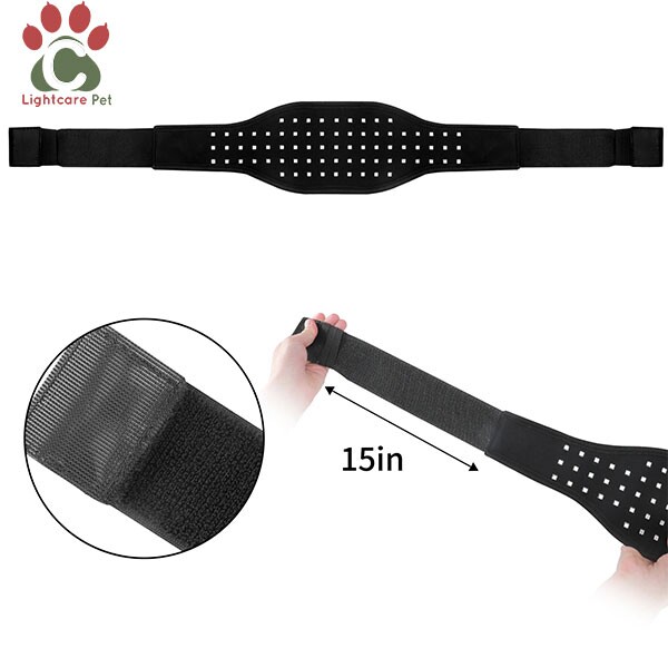 Fototerapia con luz roja para perros Proveedor de productos Fototerapia con luz roja para perros Proveedor de productos